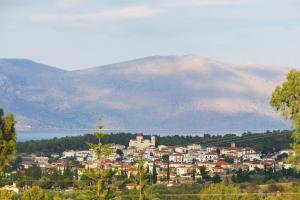 Villa in the Olive Trees Parnassos Greece