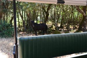 Il Borgo dell'Arcangelo img27