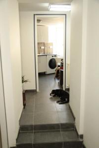 Appart'hotels Hostel du lapin blanc : photos des chambres