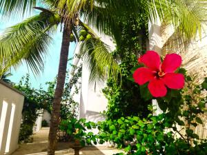 Hotel Rilux Tolú -Casa Danae-