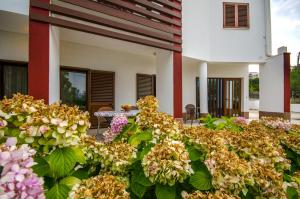 Apartments Tabak