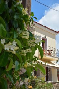 Rastoni Apartments Andros Greece