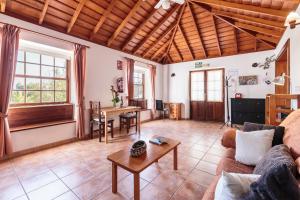 Palmera mirador