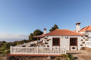 Palmera mirador