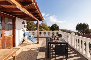 Palmera mirador