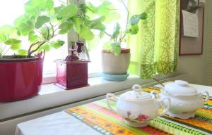 Kuuksenkaari Apartments