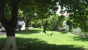 St Paul and Peters House