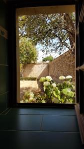 B&B / Chambres d'hotes Manoir de la Croix Verte : photos des chambres