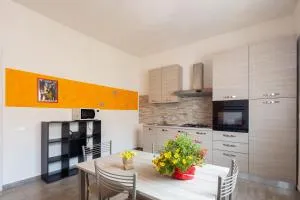 Fellini by Luce Stellata - Pallerone