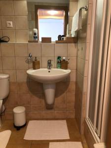 Orchidea Wellness Apartman