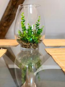 Appartements Beauty & The Beast - Old Town Cosy Apartments : photos des chambres