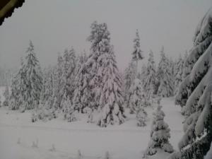 Ferienwohnungen Lemberger