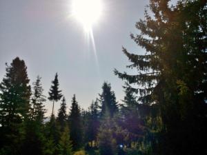 Ferienwohnungen Lemberger