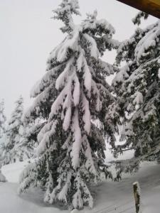 Ferienwohnungen Lemberger