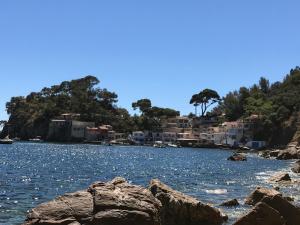 Appartements 2 pieces avec grande terrasse - Centre de Toulon : photos des chambres