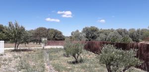 Maisons de vacances Au Clos des Faysses : photos des chambres