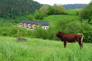 Rekreačna usadlosť Pieninka