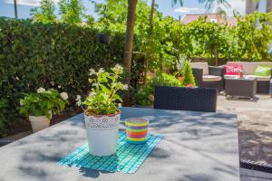 Apartman Madlen 