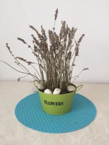 Apartment Oaza - 150m from the sea