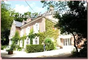Chambres du Manoir de Blanche Roche - 迪南