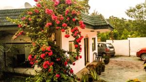 Hotel Van Durga Katra -10 mins Drive from Helipad