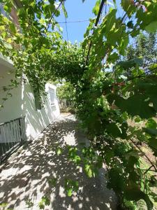 Holiday Home Djekljak