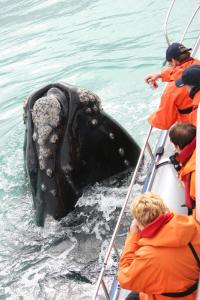 Zeezicht Guest House