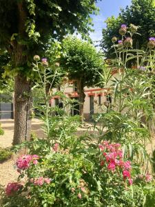 B&B / Chambres d'hotes Le Clos de la Pomponnette : photos des chambres
