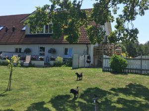 Statarlängan