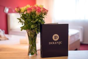 3 star hotel Hotel Dolenjc Novo Mesto Slovenija