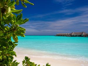 Gaafu Alifu Atoll, Republic of Maldives.