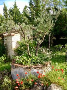B&B / Chambres d'hotes Villa Mas : photos des chambres