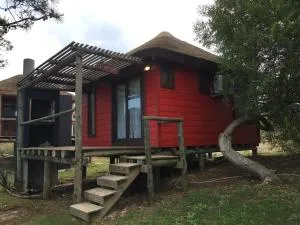 Coral - 拉埃斯梅拉达