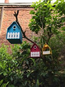 Maisons de vacances Maison de charme avec jardin ensoleille et calme : photos des chambres