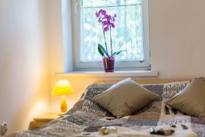 Zakopiański Apartament