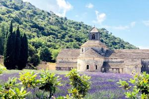 Maisons de vacances Le Bonheur : Maison 3 Chambres