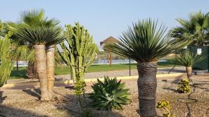 Apartments Sol de Almeria Golf y Playa