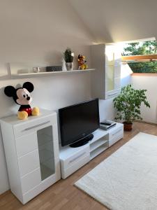 Apartmán Mickey Mouse House - 80 m2 - Vulkán Fürdő -Spa Celldömölk Maďarsko