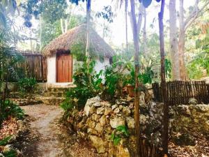 Yucatan Mayan Retreat, Ecohotel & Camping