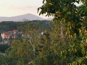 Sokobanja central park APT with mountain view balcony
