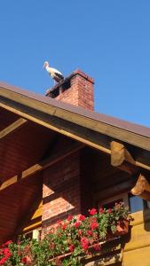 Vacation Without Make Up