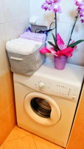 Apartmants Jušić