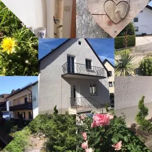 Ferienhaus 2 An der Rodach - 施泰因维森