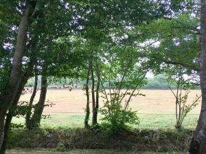 Sejours a la ferme Domaine Le Rianon : photos des chambres