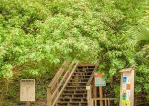 Pelican Inlet B115 Condo