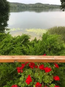 Paukoje Apartamentai - Trunkuny