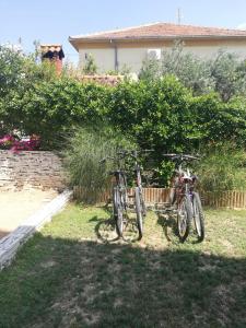 Apartments Kapo