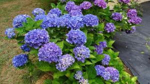 Chambres de Monthéard