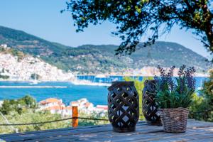 Olive Grove Apartment Skopelos Greece