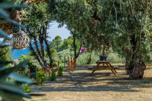 Olive Grove Apartment Skopelos Greece